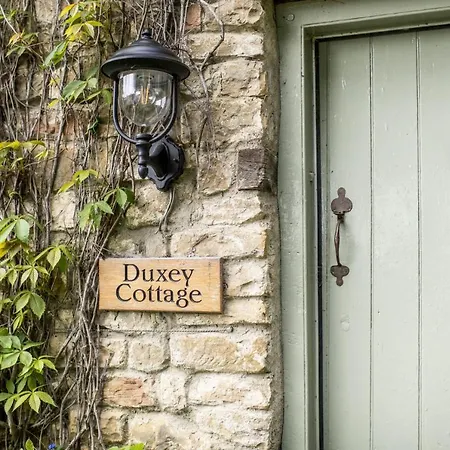 Duxey Thornton Steward
